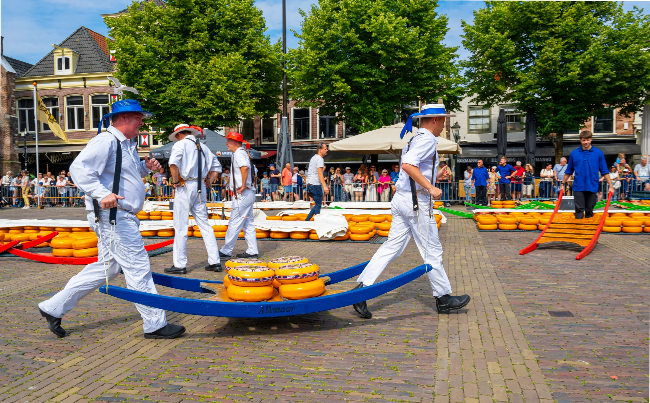 Ontdek Alkmaar: een stad vol historie, gezelligheid en verrassingen. 
